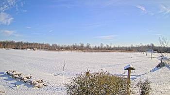 Weather camera view of Summit Road STEM Elementary.