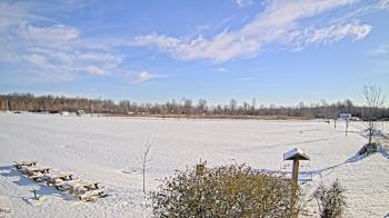 Weather camera view of Summit Road STEM Elementary.