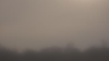 Weather camera view of Winston School.