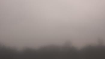 Weather camera view of Winston School.