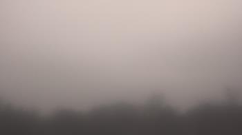 Weather camera view of Winston School.