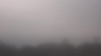 Weather camera view of Winston School.