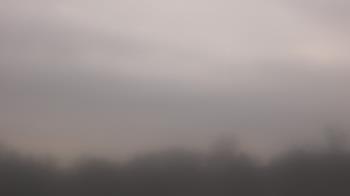 Weather camera view of Winston School.