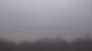 Weather camera view of Winston School.