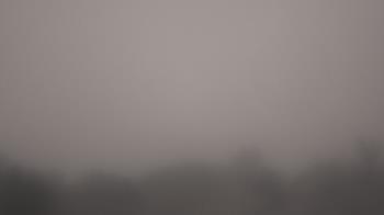 Weather camera view of Winston School.