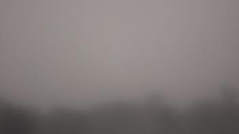 Weather camera view of Winston School.