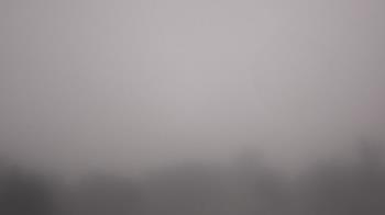 Weather camera view of Winston School.