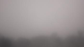 Weather camera view of Winston School.