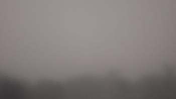 Weather camera view of Winston School.