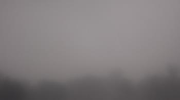 Weather camera view of Winston School.