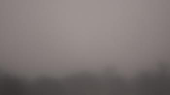 Weather camera view of Winston School.