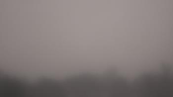 Weather camera view of Winston School.