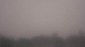 Weather camera view of Winston School.