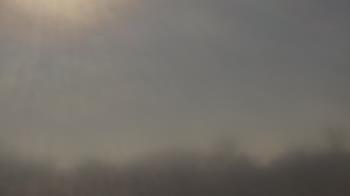 Weather camera view of Winston School.