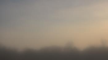 Weather camera view of Winston School.