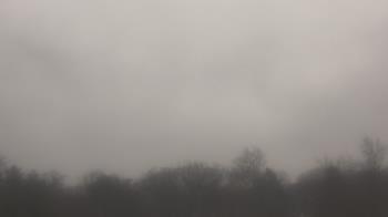 Weather camera view of Winston School.