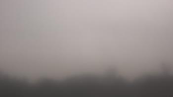 Weather camera view of Winston School.