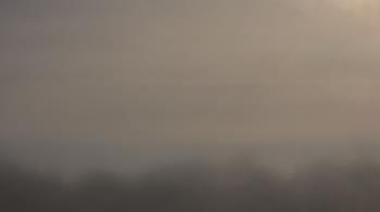 Weather camera view of Winston School.