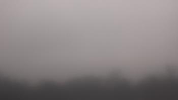 Weather camera view of Winston School.