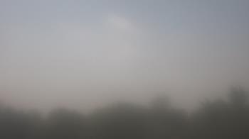 Weather camera view of Winston School.