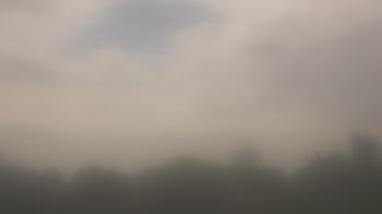 Weather camera view of Winston School.