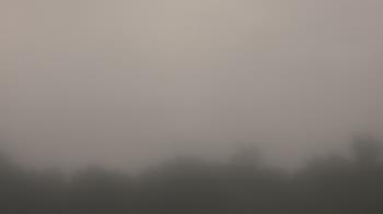 Weather camera view of Winston School.