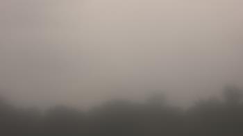 Weather camera view of Winston School.