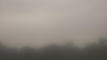Weather camera view of Winston School.