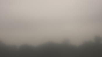 Weather camera view of Winston School.