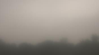 Weather camera view of Winston School.