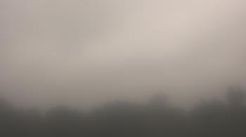 Weather camera view of Winston School.