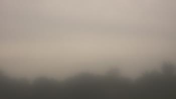 Weather camera view of Winston School.