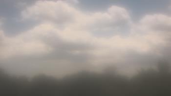 Weather camera view of Winston School.