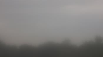 Weather camera view of Winston School.