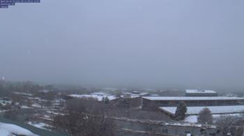 Weather camera view of Red Butte Garden.