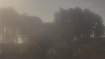 Weather camera view of Sand Hill Elementary.