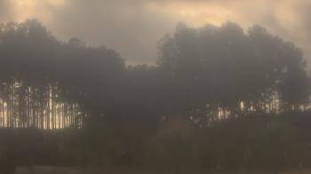 Weather camera view of Sand Hill Elementary.