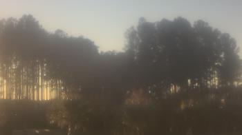 Weather camera view of Sand Hill Elementary.