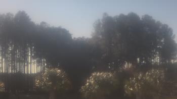 Weather camera view of Sand Hill Elementary.