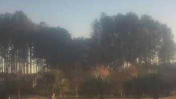 Weather camera view of Sand Hill Elementary.