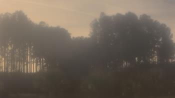 Weather camera view of Sand Hill Elementary.