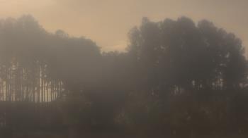 Weather camera view of Sand Hill Elementary.