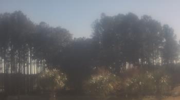 Weather camera view of Sand Hill Elementary.