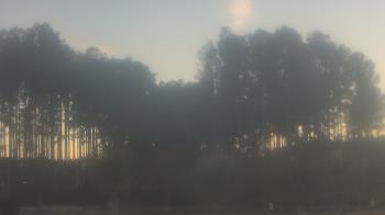 Weather camera view of Sand Hill Elementary.