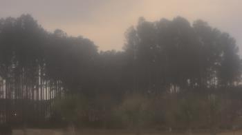 Weather camera view of Sand Hill Elementary.