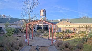 Weather camera view of Sacred Heart School.