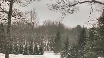 Weather camera view of Sky Valley Lodge.
