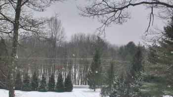 Weather camera view of Sky Valley Lodge.