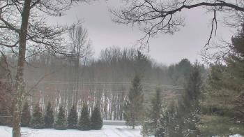 Weather camera view of Sky Valley Lodge.