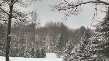 Weather camera view of Sky Valley Lodge.